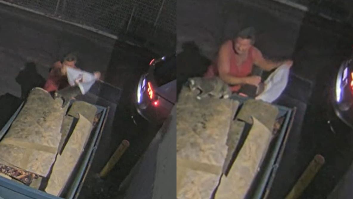 Person sought after throwing cat in dumpster